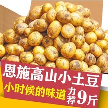 恩施高山小土豆黄心新鲜洋芋迷你土豆湖北马铃薯当季蔬菜包邮鸡蛋