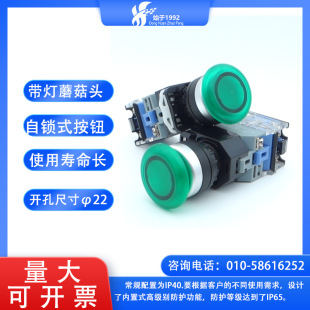 YIJIA/yijia YJ139-LA38-11MZSD with Light Mushroom Head Self-locking Button 22mm