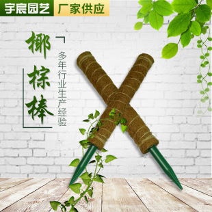 New Detachable Coconut Palm Stick Manufacturer Wholesale Plant Climbing Frame Green Radish Climbing Frame Green Plant Climbing Frame Vine