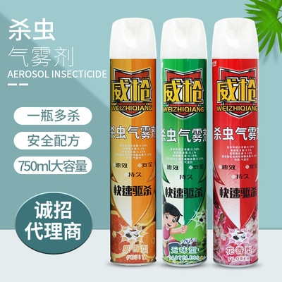 厂家直销批发杀虫气雾剂喷雾剂贴牌加工驱蚊灭蚊苍蝇害虫诚招代理