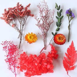 干花永生花diy材料包香熏浮游花 亲子活动花材云南厂家批发代发