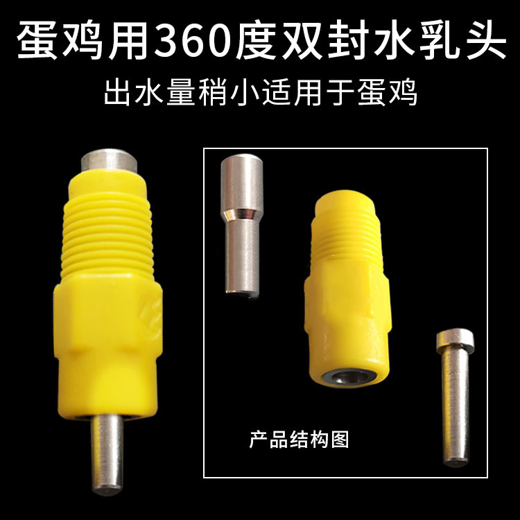 누워있는 암탉 젖꼭지