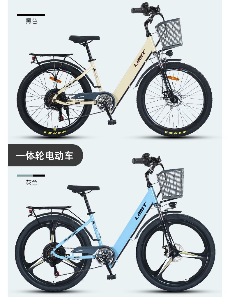 Electric Bicycle New National Standard Built-in Battery Lightweight
