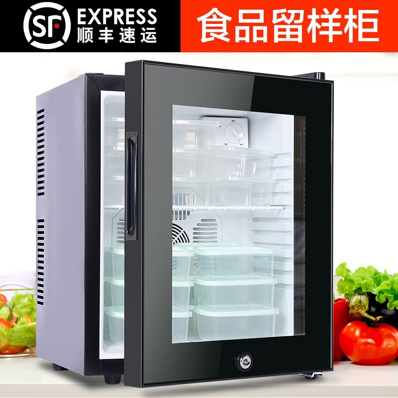 Special Cabinet for Kindergarten Food Sample Storage, Double-Lock Small Refrigerator, Small Hotel Preservation Cabinet, Display Cabinet with Temperature Display