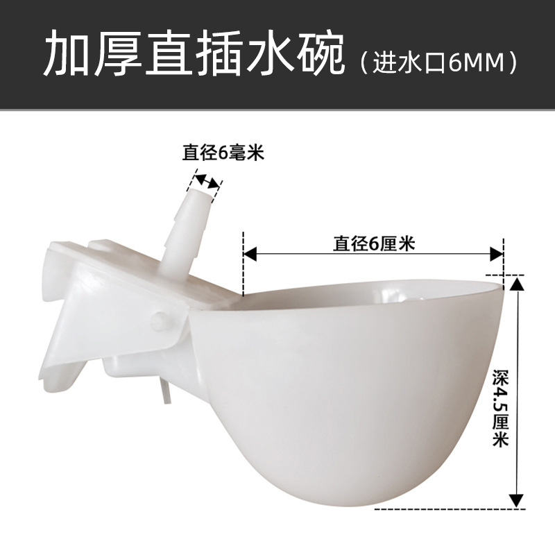 Tazón de agua de la paloma bebedor automático Loro Bird bebedor automático paloma caja de comida caja colgante bebedero