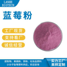 蓝莓粉 蓝莓果粉 蓝莓果粉 蓝莓粉 蓝莓提取物 水溶蓝莓粉 现货