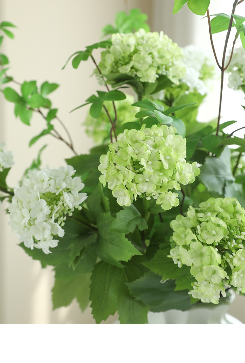 IMG_2823(20230310-105241)