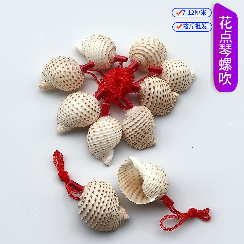 露店の装飾品、さまざまな貝殻、巻貝の工芸品、貝殻、巻貝の笛、子供のおもちゃ、巻貝の笛の卸売|undefined