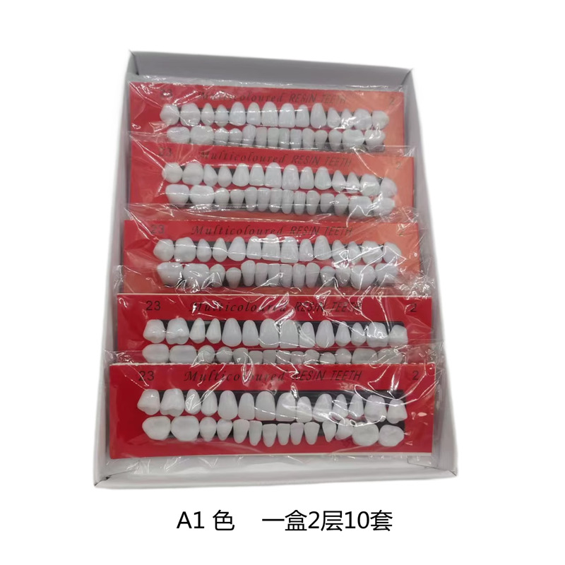 28 estudiantes dientes plásticos dentales materiales orales de enseñanza de dientes dentados image 4
