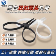厂家直销双孔双扣尼龙扎线带自锁式Double-locking扎带12X700现货