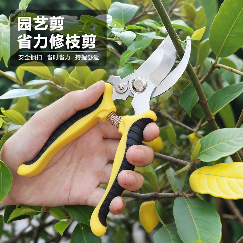 不锈钢修枝剪多功能园艺剪嫁接树枝剪园林摘水果树专用剪刀工具