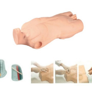 ȫ�����������ľ�������ģ���˴���ע������ģ�����ľ�������ģ��