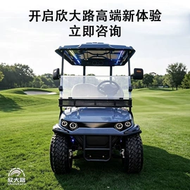 电动观光车;其他电动车;高尔夫球车