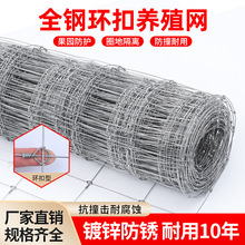 全钢环扣围栏网热镀锌钢丝网牛羊防护网养鹿网果园防锈铁丝网围栏