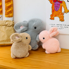 �羳�������ӹ���ë�q���С������żץ�C���ރ�ͯ�������նY��Ů