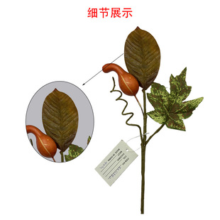 ���揝���J���~֦ �ж����S�ռ��bٻ� �Ҿ�����[���羳؛Դ