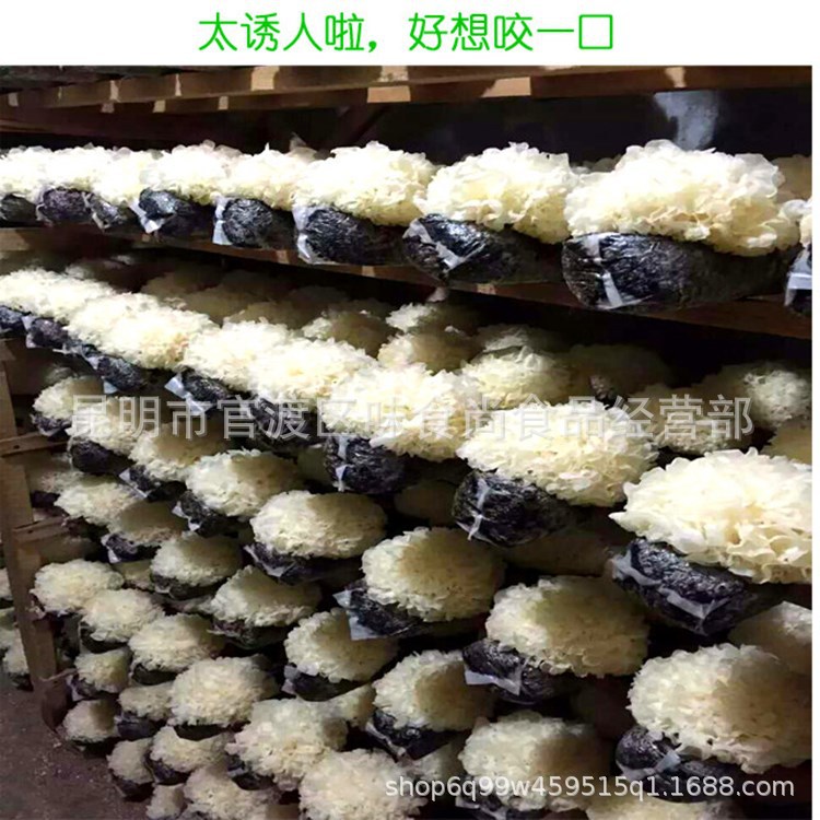 Gutian Tremella Dried Goods Ugly Ear Selected Ugly Ear Tremella Direct Manufacturer Sales Ugly Ear New Goods Tremella Glutinous Fast Jelly
