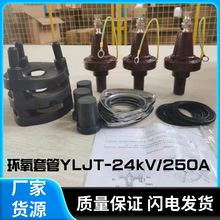 SlWʽʽh׹YLJT-24kV250A|