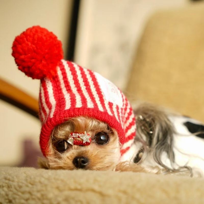 冬毛皮ベビーメイラード犬猫ペットクリスマス衣装帽子手編みウールかわいい新年衣装