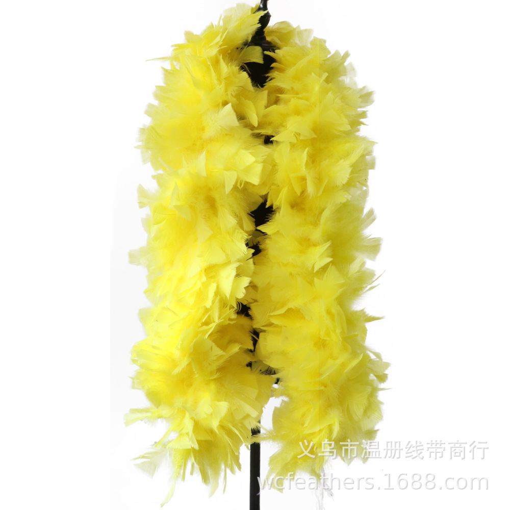 温册平板毛条羽毛拍摄道具T台走秀装饰羽毛条节日装扮服装辅料详情图17