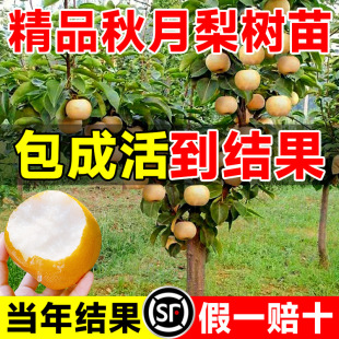 �������������ڼ޽���A�ʴ���S�����ӹ������ϱ������ԷNֲ