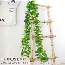 ����Gֲ��ɽ���ٻ��ٗl�젝����҃����b������������{�p�@�G�~