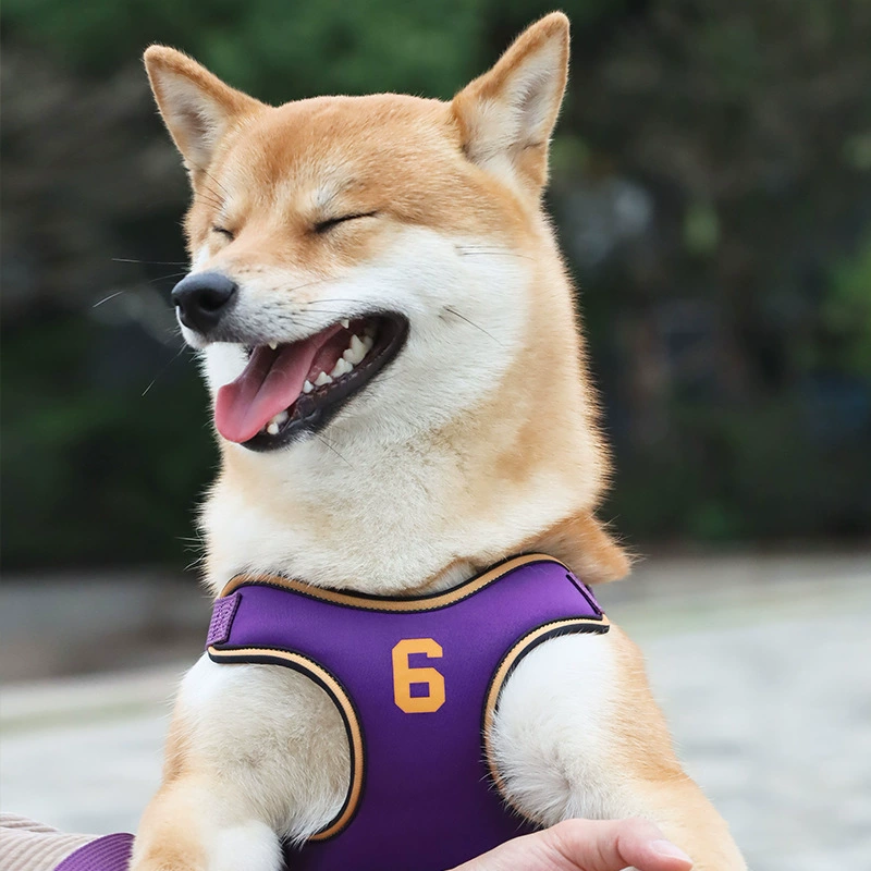 Новый спортивный X-образный ремень для груди Взрывозащищенный удар ремешок для груди с отражением ремешка для собаки