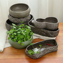 �o��ˮ�ɻ����մ��~�X��˯ɏ��ɏ�����ش�̖��ʯ����ˮ��ֲ�ﻨ��