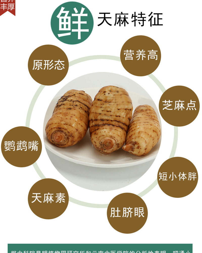 Fresh Gastrodia Root Yunnan Xiaocaoba Tian Ma 500g Wild Grown High Mountain Fresh Dug quality and texture
