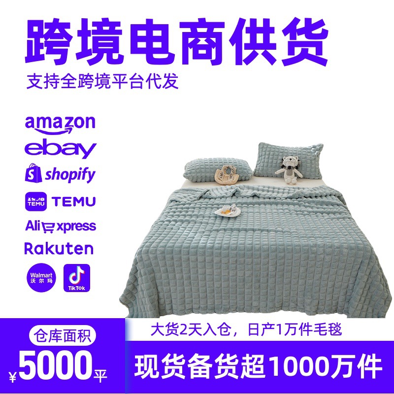 Amazon venta caliente 2026 nueva piel cómoda nube de sueño color sólido caliente flores tallado manta manta manta manta