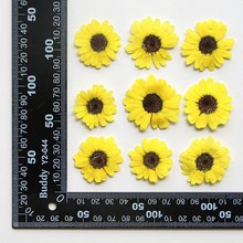 ̫ꖻ� ���տ��ɻ�����DIY�ֹ����z���ߔ[̨Ѻ������N���������l