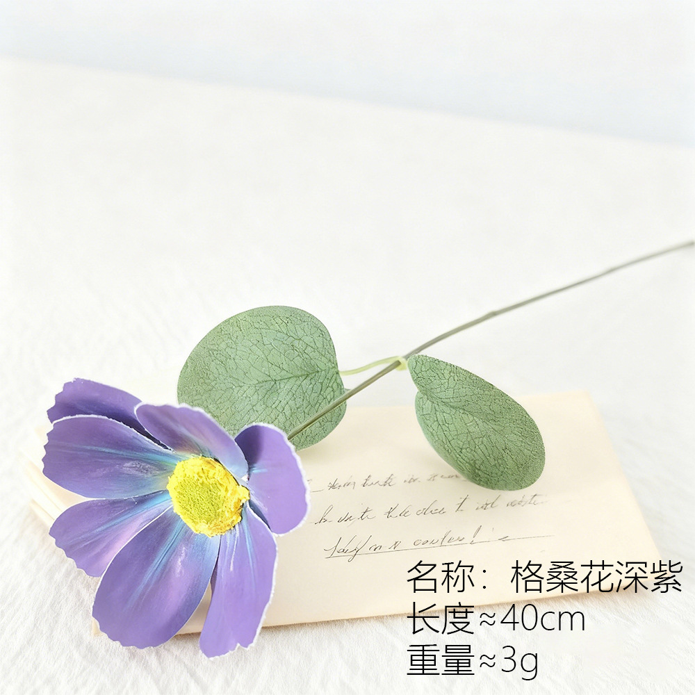 Flores de Gesang púrpura oscuro