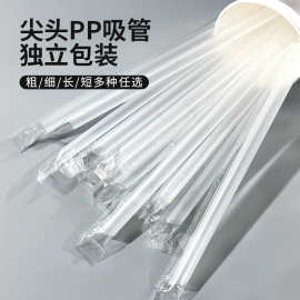 一次性吸管珍珠奶茶加粗单支独立包装透明塑料大吸管支持代发批发