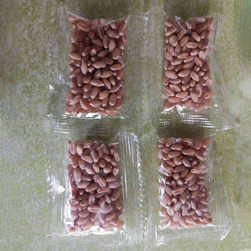 6d52f065e2d814134c563f5d3177de