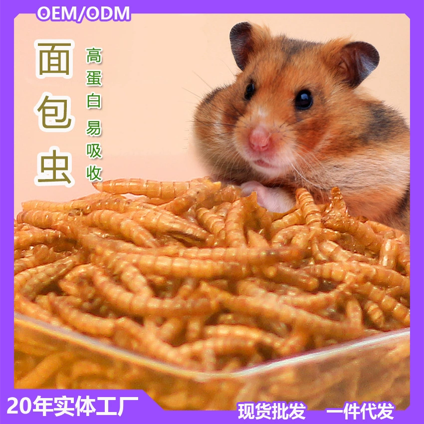 Сухие хлебные черви, сухие черви, сухие черви, хомяки
