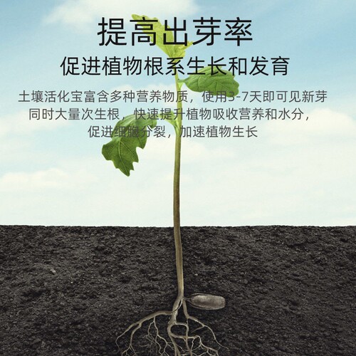 Oil vine soil activator Potassium fulvic acid microbial inoculant Pine soil compaction improver activator manufacturer