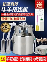 ţD̙C늄ӔD̙CҫFСĸD28