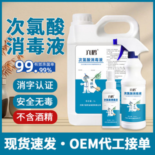 Customized Hypochlorous Acid Disinfectant Medical Grade Pet Disinfection Spray Hospital School No-Wash Disinfectant Manufacturer Wholesale