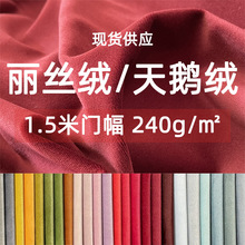 现货厂家直供天鹅绒面料丽丝绒荷兰绒布沙发抱枕服装家纺家具240g