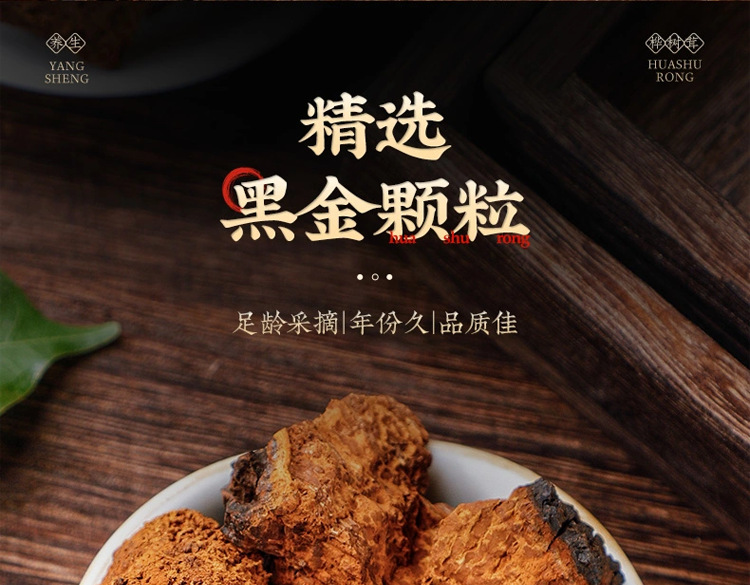 Chaga Mushroom Granules Hua Shu Rong 70g Jar Dried Inonotus obliquus Sclerotia for Daily Herbal Tea and Decoction overview