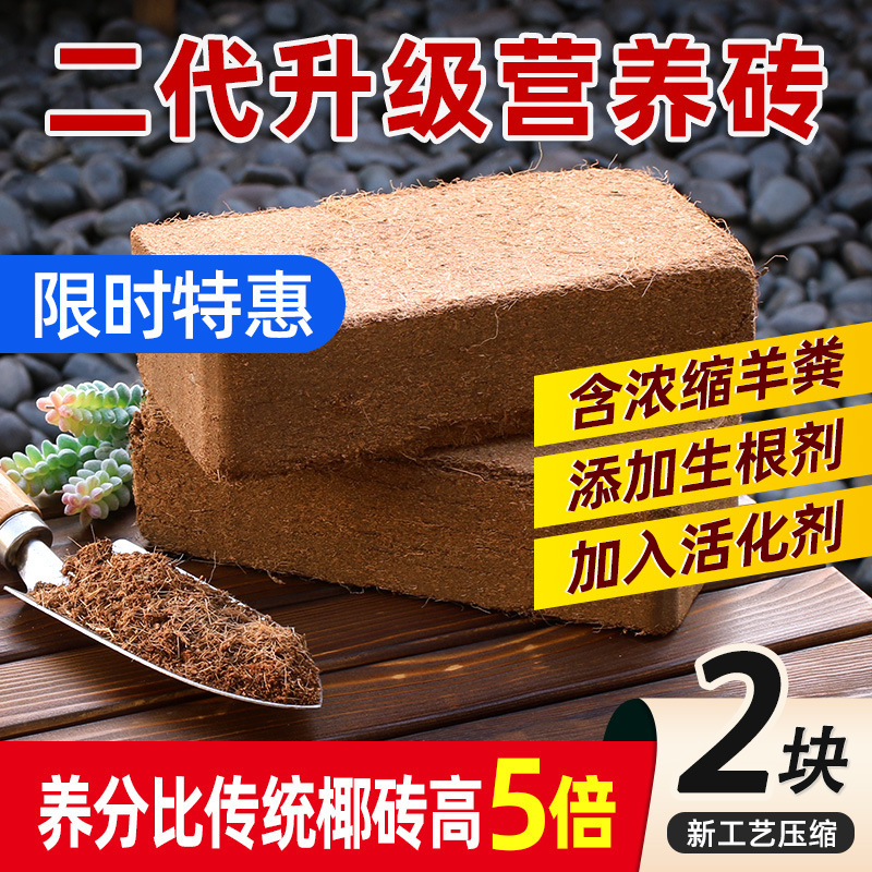 [신규 압축공정] 고영양 영양벽돌 2개 (멋진 신제품)