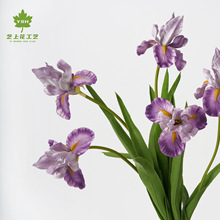 SβzPUָQƷ|SֱNƷ|Ҿb