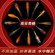 С�����BС���~���^�����F���B�ͻˮ��ˮ�~���^�p�~�������F