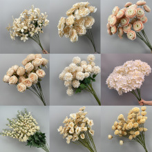 㙉ɫcY滨ĹT廨Żb֧õ彁