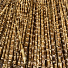 ����� ����� ����̱� ��� ��ˇƷ ������� �g�Ԍ������