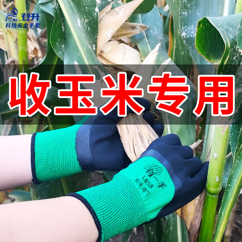 Escalada de maíz guantes de colección antideslizante transpirable maíz tirando jardín maíz seco granja guantes