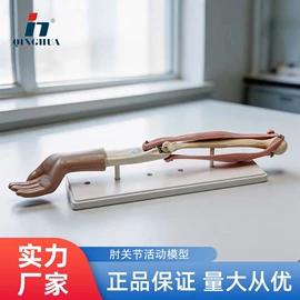 数理教学器材;教学演示用品;生物教学器材