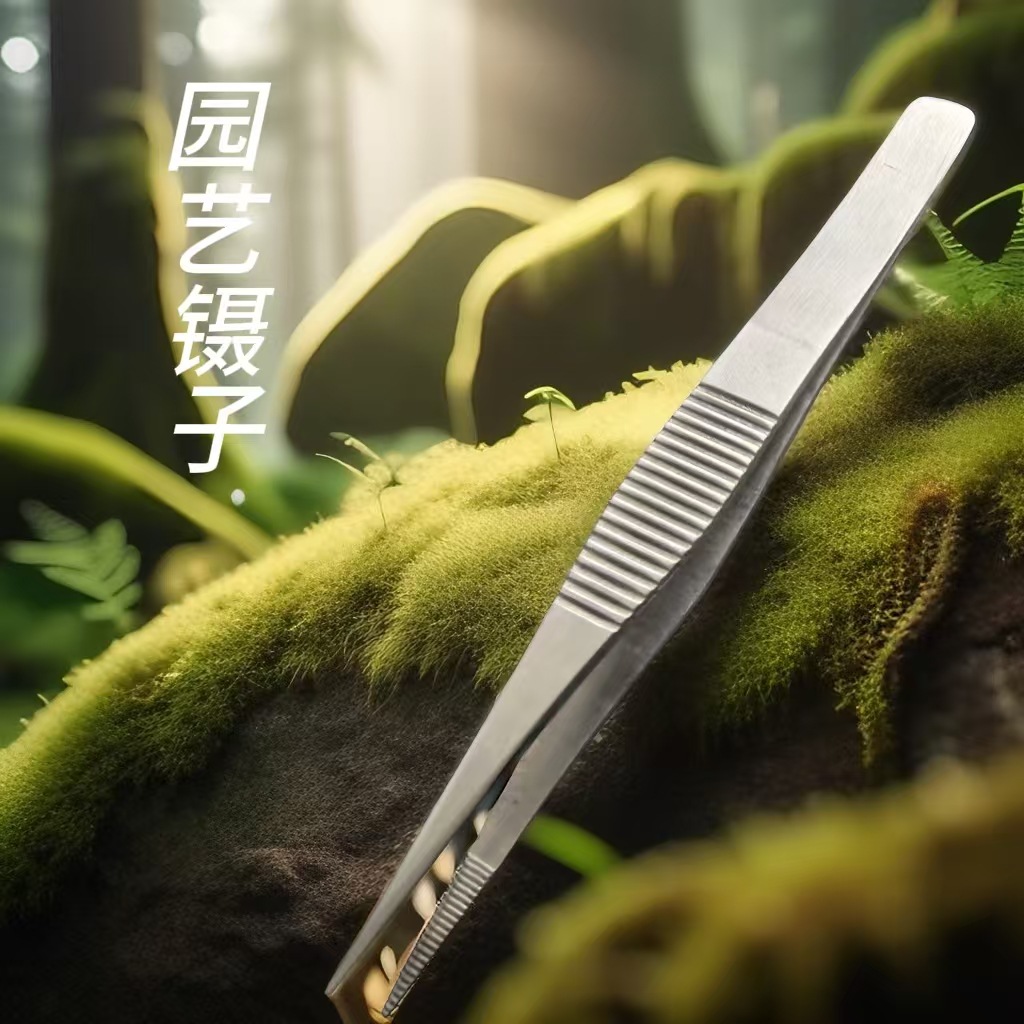 不锈钢园艺镊子剃黄踢黄摘叶镊子 盆景园艺修剪夹子室内外 菖蒲用