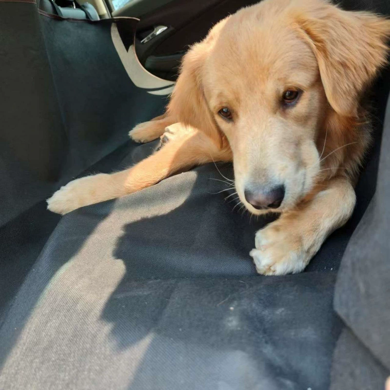 Подушка для домашних животных Подушка для домашних животных Подушка для собак