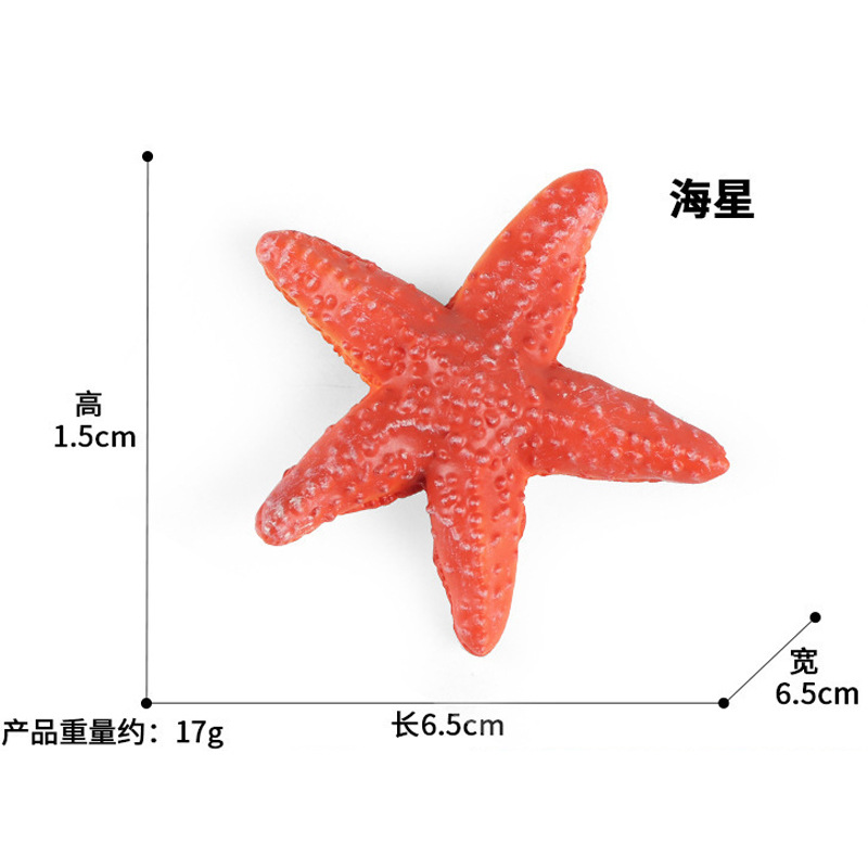 Estrella de mar PL127-2533 17g